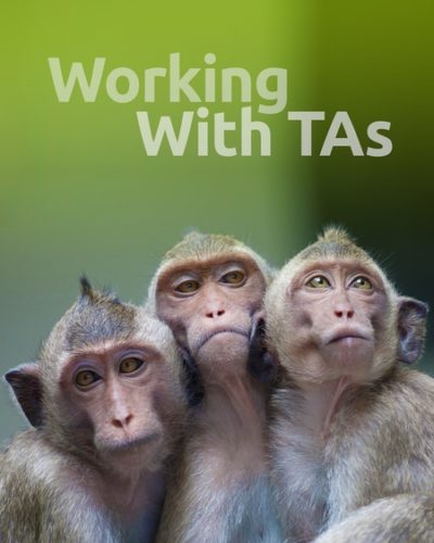 support_ta-450x600