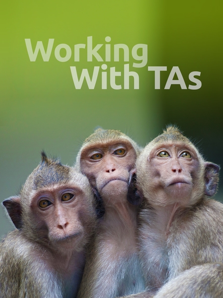 support_ta-450x600