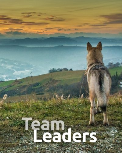 team_lead-450x600