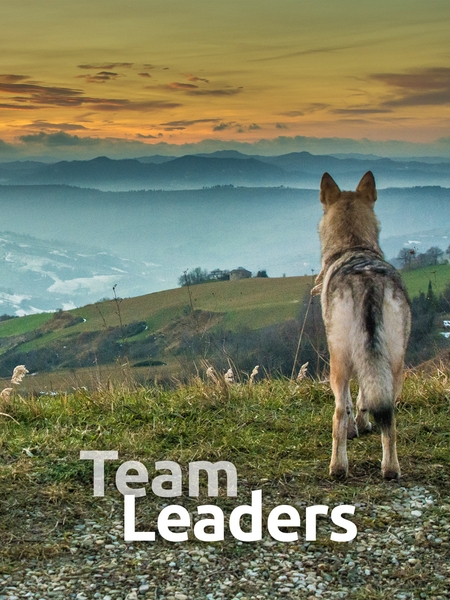 team_lead-450x600