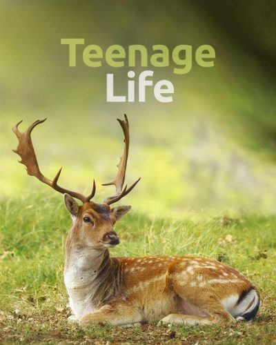 teen_life-450x600