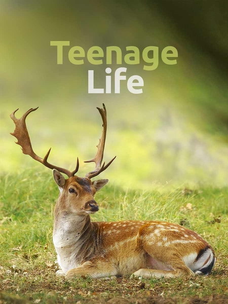 teen_life-450x600