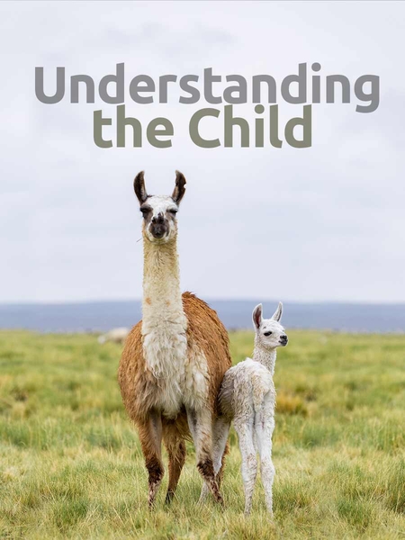understand-450x600