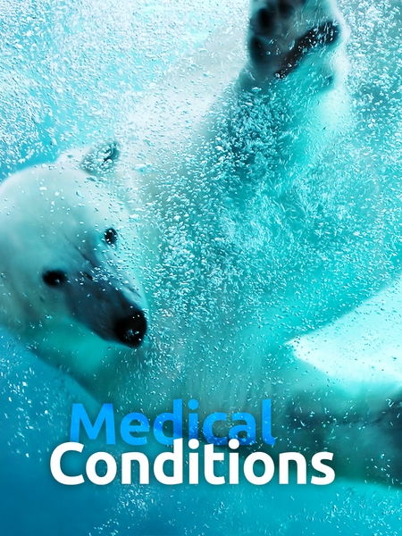 utc_medical-450x600