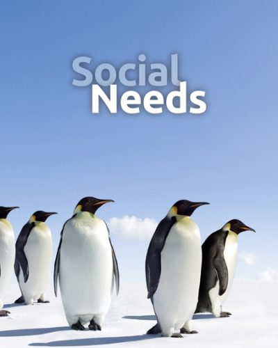 utc_social-450x600