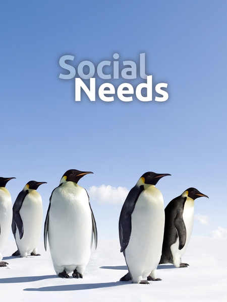 utc_social-450x600
