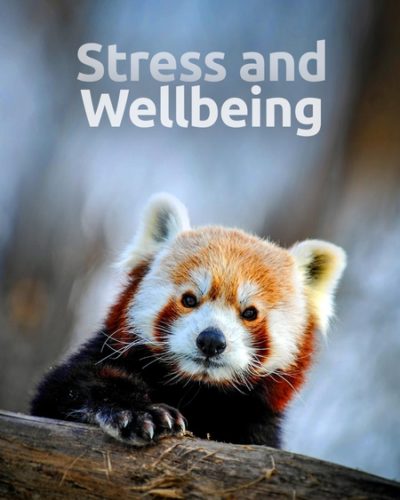 wellbeing-450x600