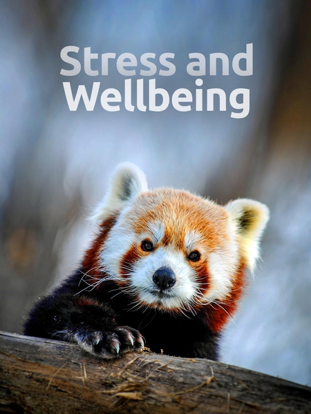 wellbeing-450x600