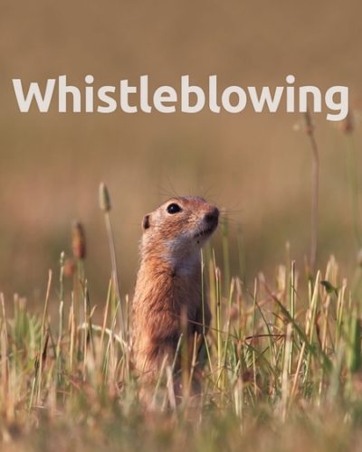 whistle-450x600