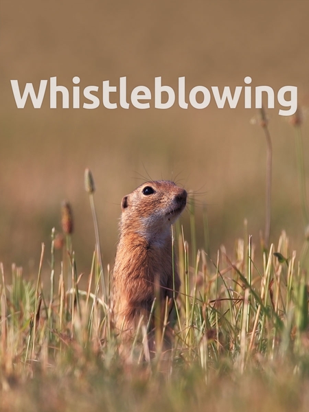 whistle-450x600