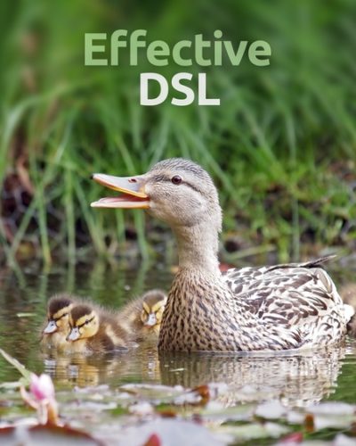 dsl-450x600
