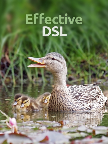 dsl-450x600