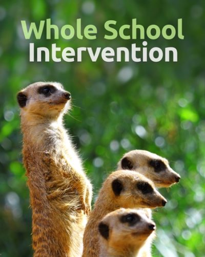 intervention-450x600