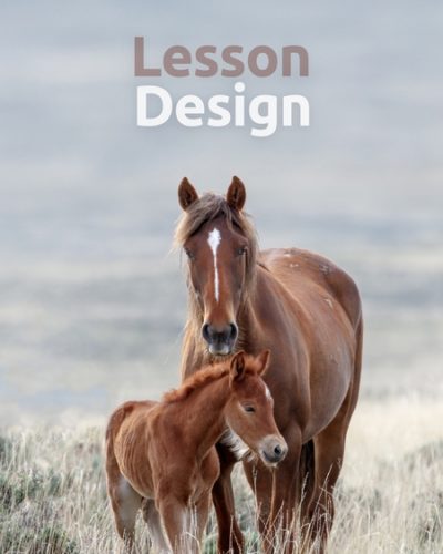 lesson_design-450x600
