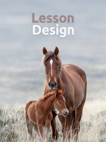lesson_design-450x600
