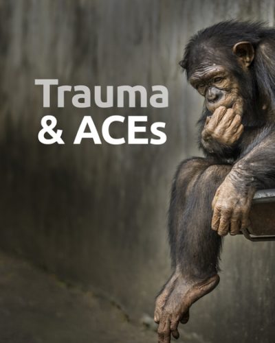 trauma-450x600