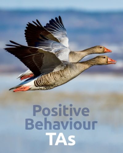 behave_ta-450x600