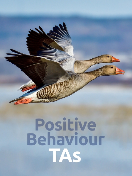 behave_ta-450x600